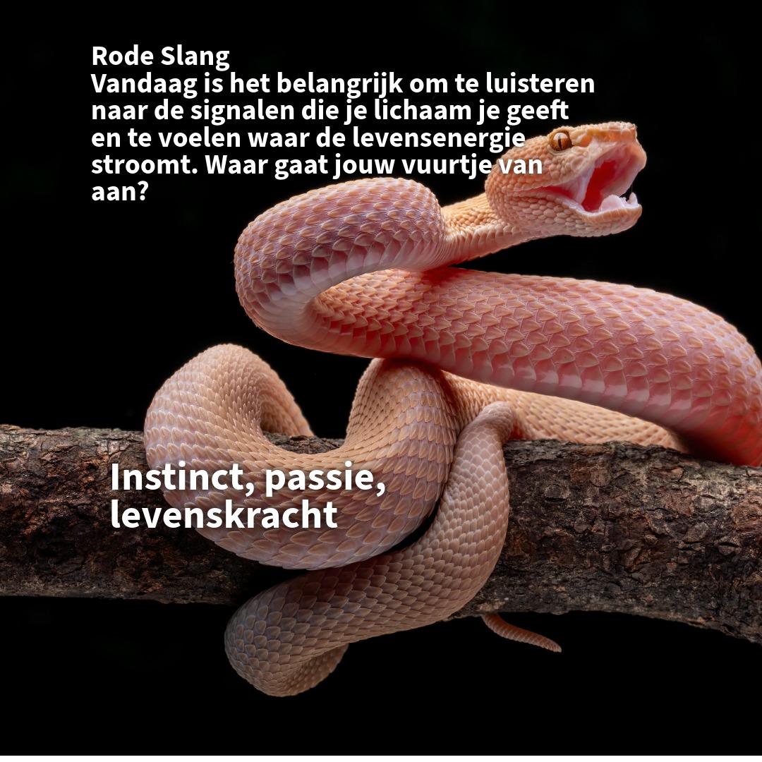 Naamloos-17