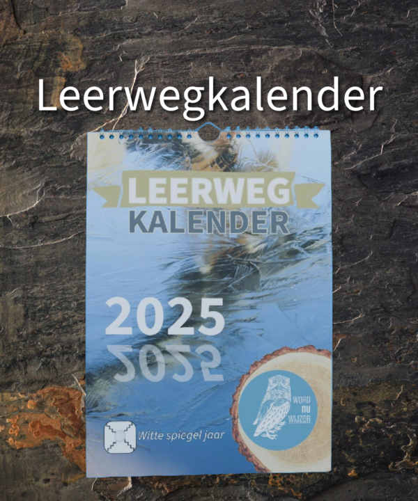 Leerwegkalender 2025 - Afbeelding 2